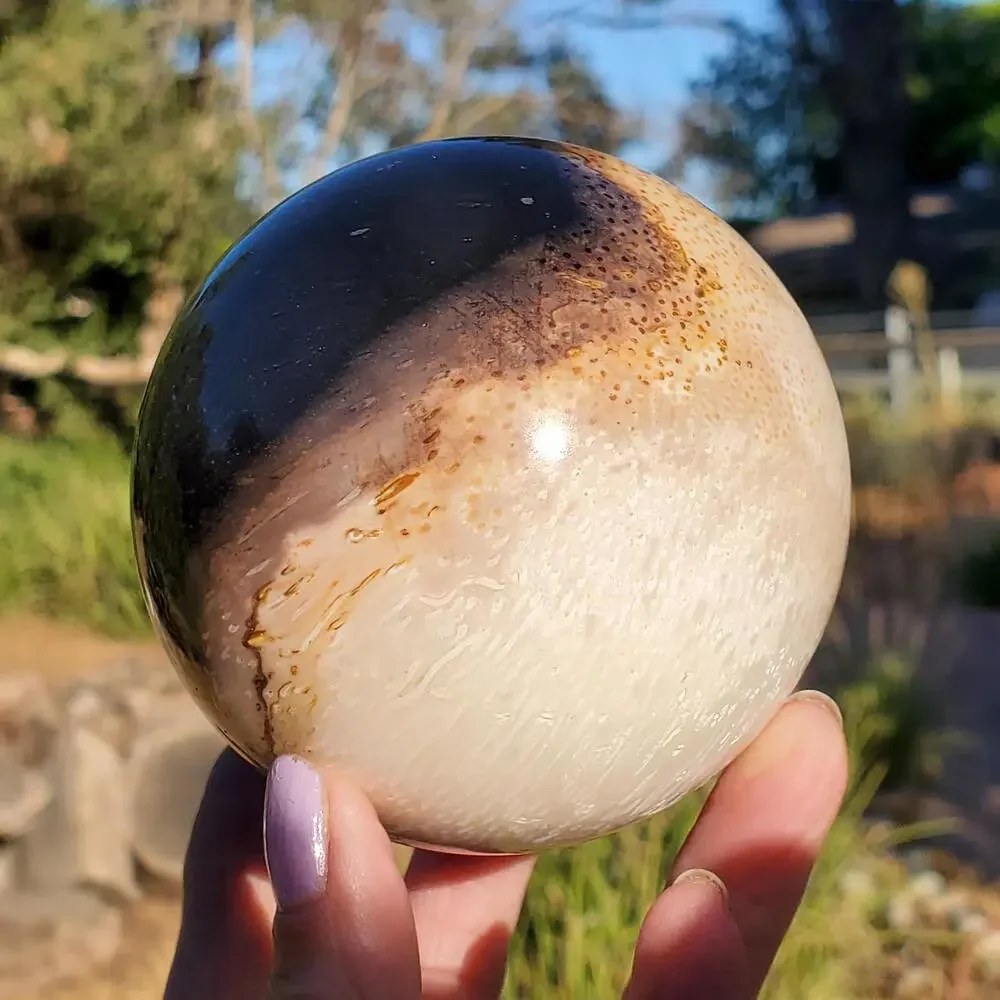 Large Petrified Palm Root Wood Fossil Crystal Sphere Indonesian 714 grams | 82mm